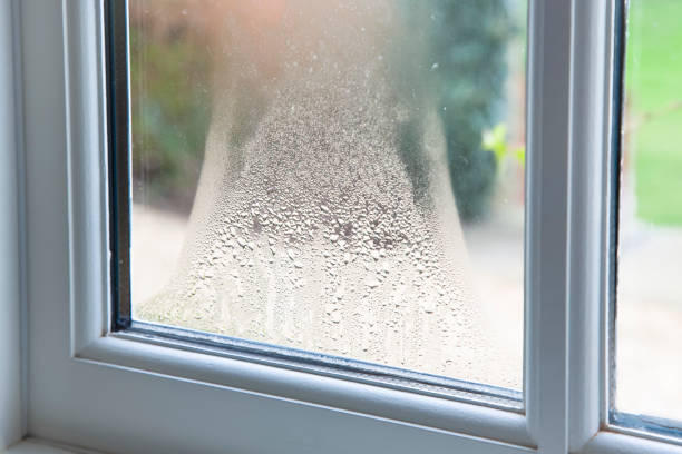 Condensation on a window, blurring the outdoor view